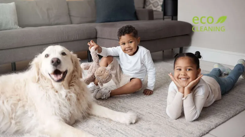 Green Cleaning Services for Kids and Pets in Naperville