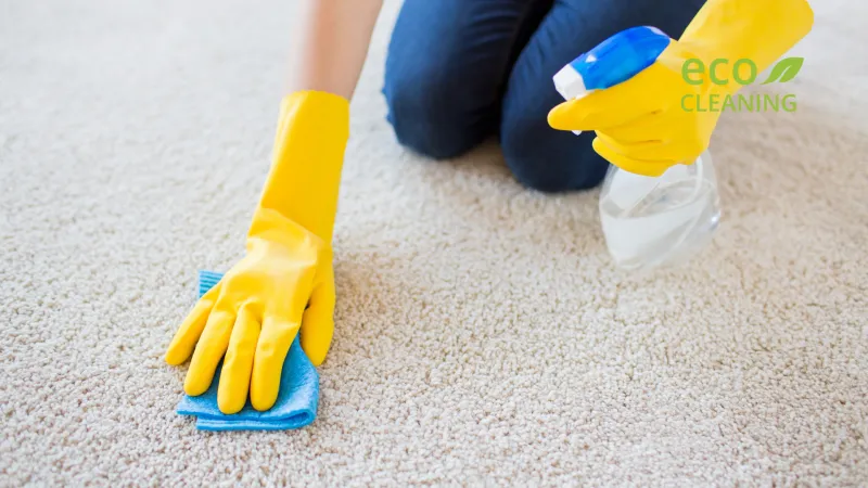 How to Remove Stains from Carpet