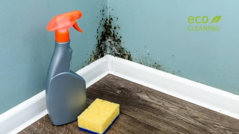 How to Remove Mold From Bathroom Naturally
